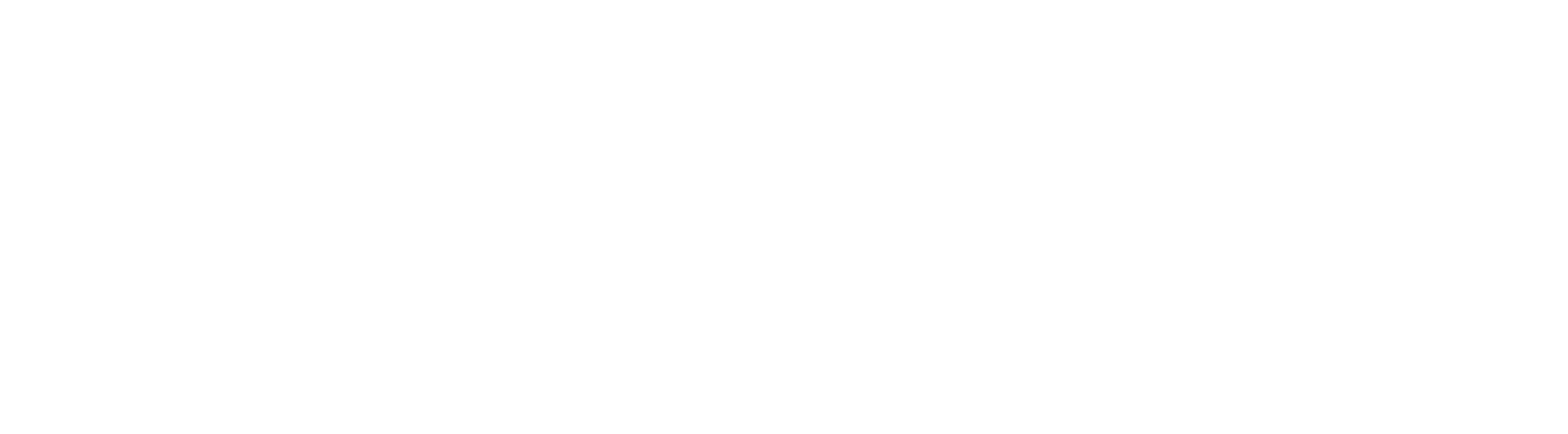 Limanzo Holding Ltd.